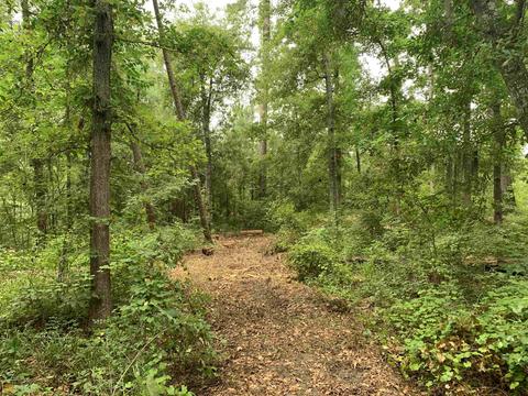 100 Second Ave, Bonaire, GA 31005 photo 30