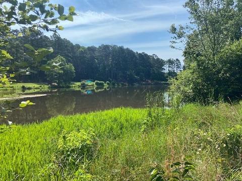 230 Dorsey Rd, Hampton, GA 30228 photo 40