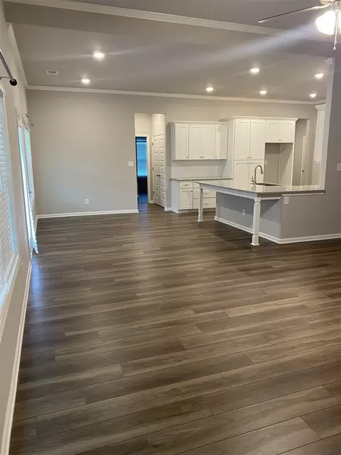 290 Cushing St, Senoia, GA 30276 photo 10