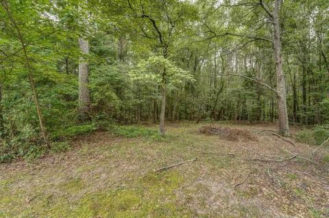 121 Fox Dr, Jackson, GA 30233 photo 36