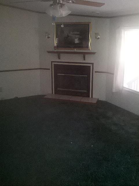 2344 Hamilton St, Hampton, GA 30228 photo 6