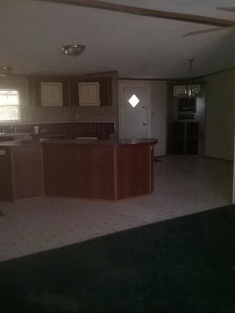 2344 Hamilton St, Hampton, GA 30228 photo 7