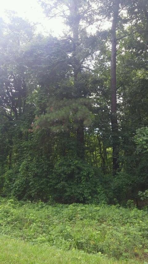 220 Harkness Rd, Jackson, GA 30233 photo 1