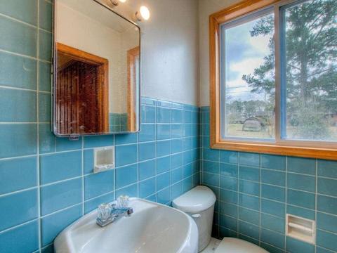 29 Woodlawn Ave, Hampton, GA 30228 photo 9