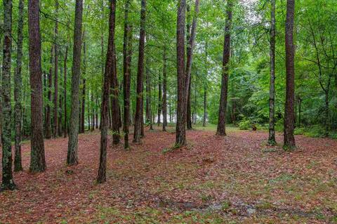 439 Waterview Dr, Lagrange, GA 30240 photo 28