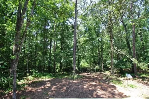 91 Holder Rd, Temple, GA 30179 photo 31