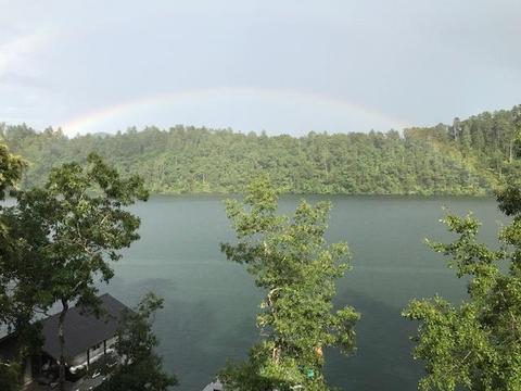 455 Yonah Lake Pl, Toccoa, GA 30577 photo 14