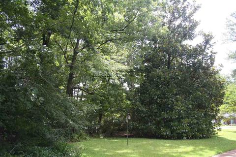 406 Debra Dr, Lagrange, GA 30240 photo 5