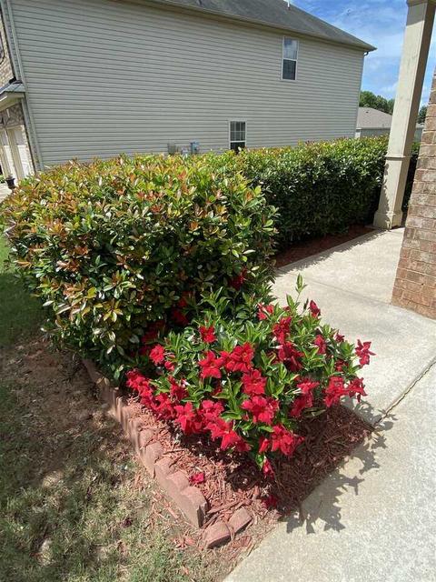 1933 Sawgrass Dr, Hampton, GA 30228 photo 4