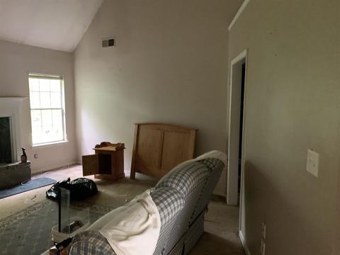 196 Apache Pointe Dr, Senoia, GA 30276 photo 4