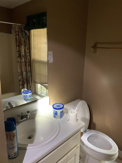 196 Apache Pointe Dr, Senoia, GA 30276 photo 8