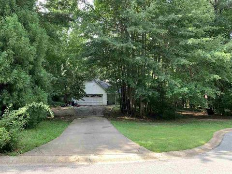 196 Apache Pointe Dr, Senoia, GA 30276 photo 2