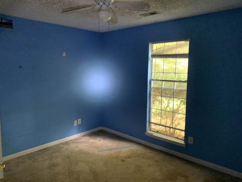 196 Apache Pointe Dr, Senoia, GA 30276 photo 9