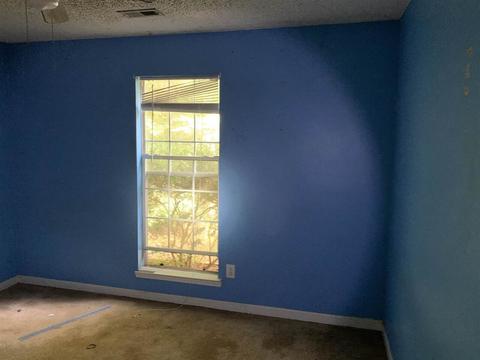 196 Apache Pointe Dr, Senoia, GA 30276 photo 10