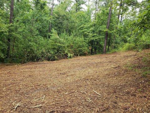54 Howell, White, GA 30184 photo 19