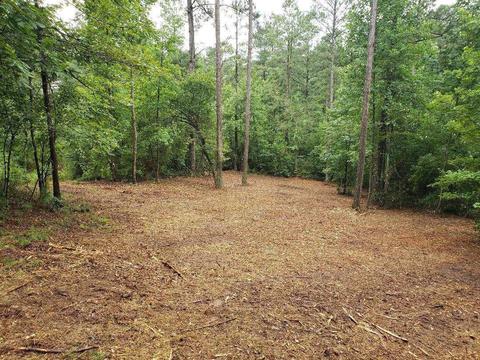 54 Howell, White, GA 30184 photo 16