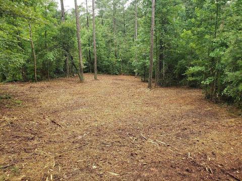 54 Howell, White, GA 30184 photo 15