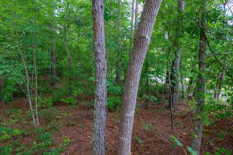 54 Howell, White, GA 30184 photo 8