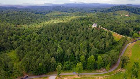 54 Howell, White, GA 30184 photo 4