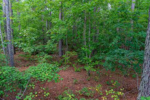54 Howell, White, GA 30184 photo 7