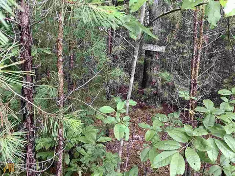 0 Warm Springs Ct, Morganton, GA 30560