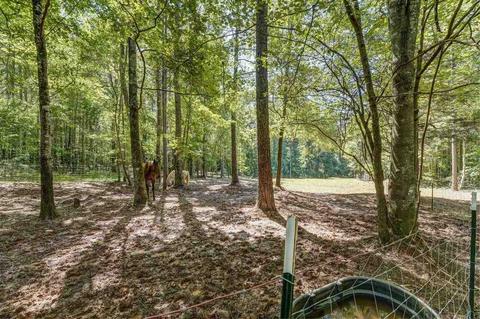 475 Ellistown Rd, Jackson, GA 30233 photo 55