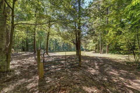 475 Ellistown Rd, Jackson, GA 30233 photo 54