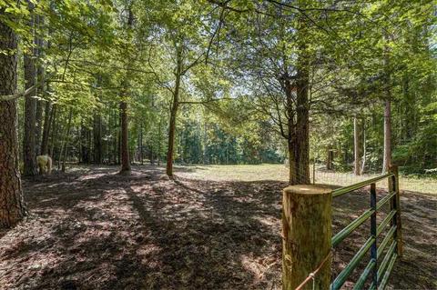 475 Ellistown Rd, Jackson, GA 30233 photo 53