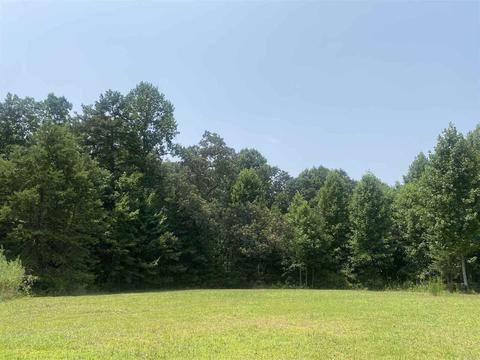 329 Arlo Todd Rd, Toccoa, GA 30577 photo 3