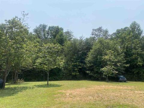 329 Arlo Todd Rd, Toccoa, GA 30577 photo 4