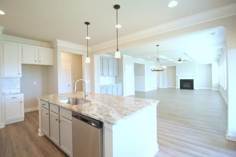 2248 Seed Way, Buford, GA 30518 photo 18