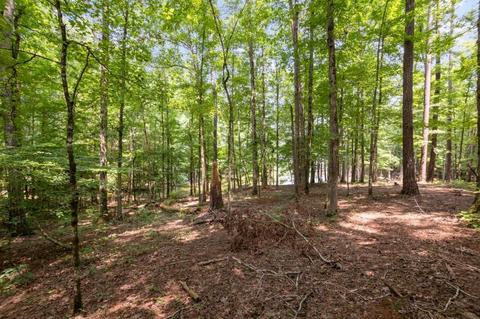 350 Willow Pointe Dr, Lagrange, GA 30240 photo 35