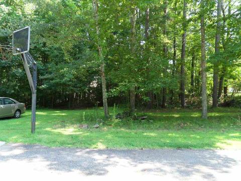 1116 Willards Way, Hampton, GA 30228 photo 38