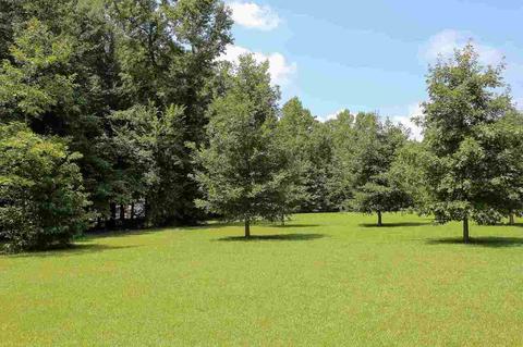 160 Winding Stream Trl, Hampton, GA 30228 photo 29