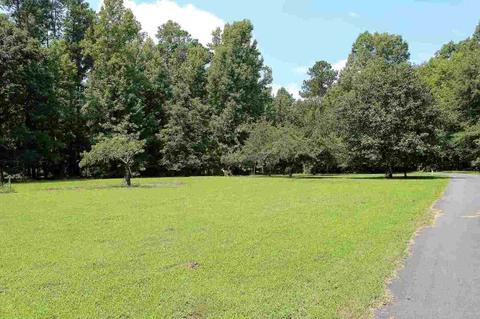 160 Winding Stream Trl, Hampton, GA 30228 photo 30