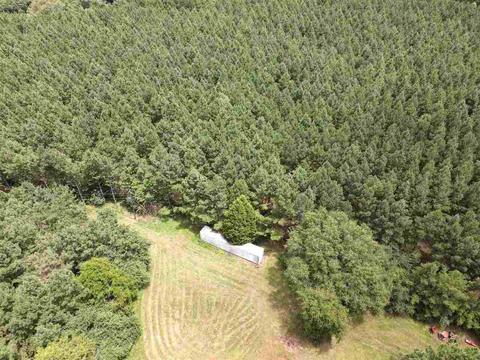 394 Wright Rd, Lagrange, GA 30240 photo 18