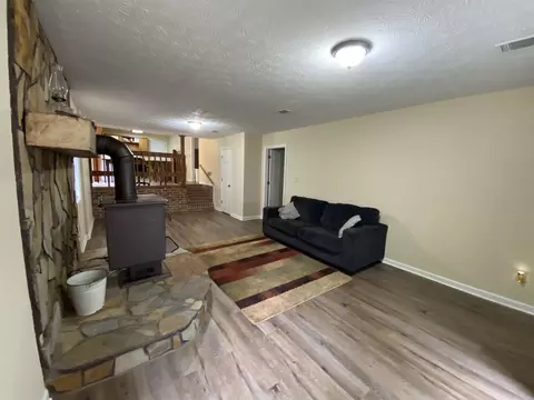 11449 Panhandle Rd, Hampton, GA 30228 photo 19