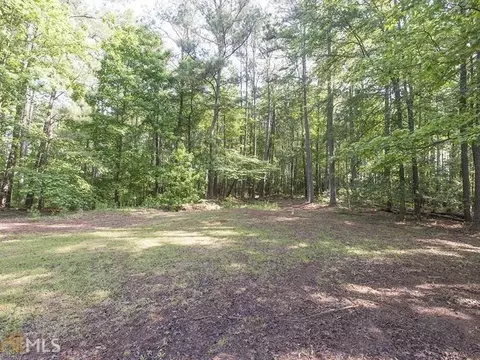11449 Panhandle Rd, Hampton, GA 30228 photo 4