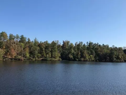 110 Harbor Dr, Macon, GA 31220 photo 12