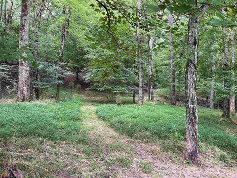107 Mill Rd SW, Cave Spring, GA 30124 photo 8