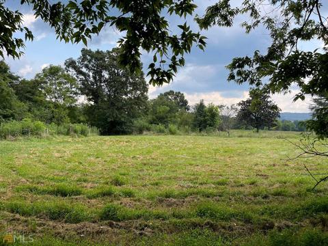 107 Mill Rd SW, Cave Spring, GA 30124 photo 9