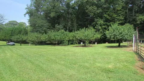 4353 County Road 282, Five Points, AL 36855 photo 30