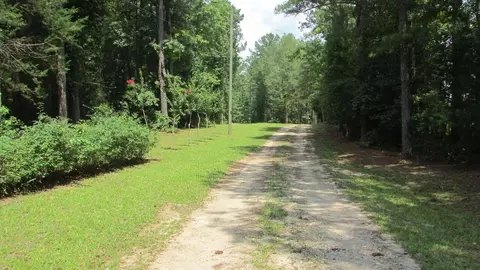 4353 County Road 282, Five Points, AL 36855 photo 51