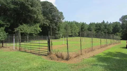 4353 County Road 282, Five Points, AL 36855 photo 31