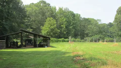 4353 County Road 282, Five Points, AL 36855 photo 35