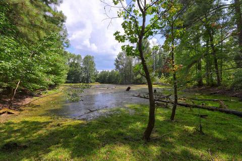 370 Brent Rd, Barnesville, GA 30204 photo 9