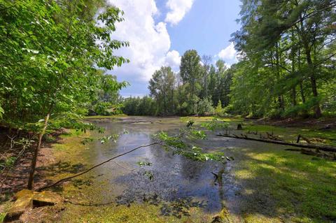 370 Brent Rd, Barnesville, GA 30204 photo 8