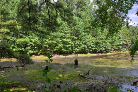 370 Brent Rd, Barnesville, GA 30204 photo 7