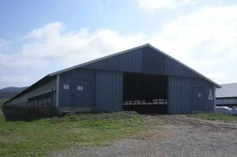 1068 Stivers Rd, Jasper, GA 30143 photo 13