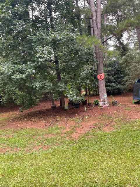 130 Whispering Pines Dr, Covington, GA 30016 photo 28
